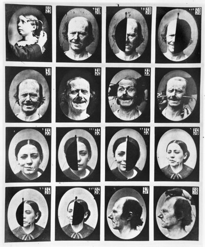 Physiognomical studies, from 